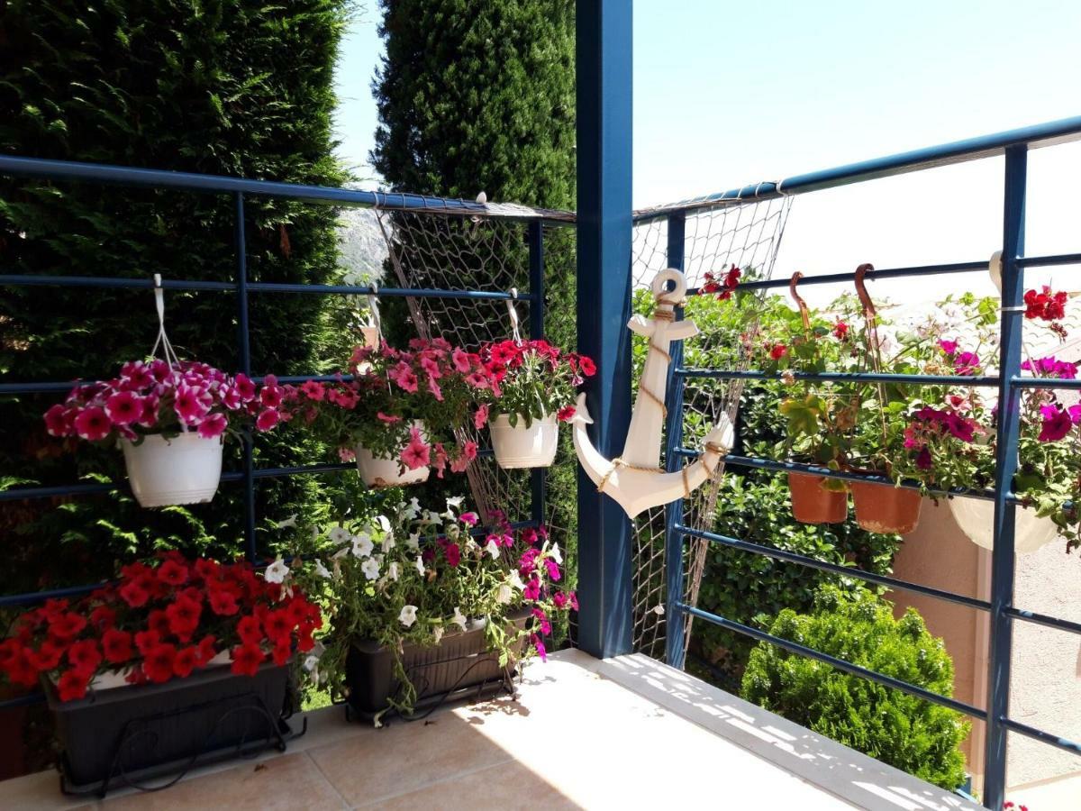 Bohemia Beach House Comfortable Villa On The Beautiful North East Coast バルバティ エクステリア 写真